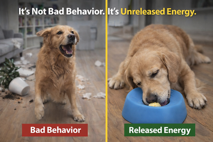 Lick-Regulate™ Turn Hyper Energy Into Calm Focus